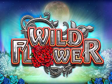 bigwildflower_Horizontal.jpg